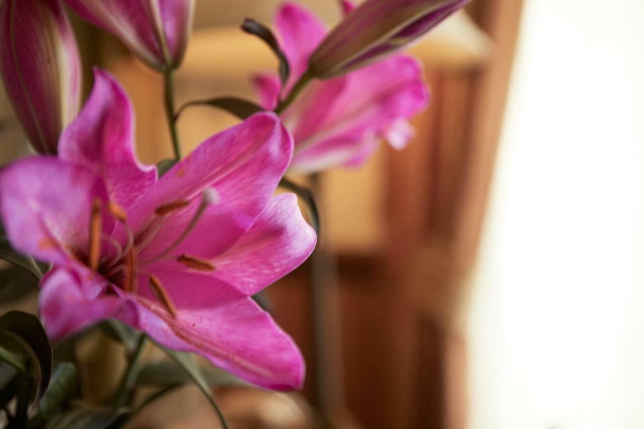 Ashburton House - B&B スカーバラ エクステリア 写真